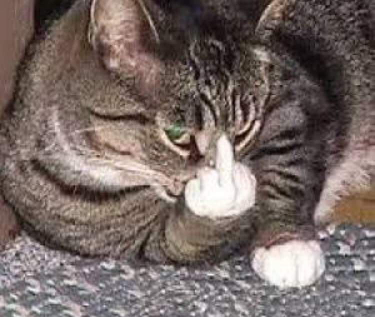 darkowlrecordz's tweet image. #FreeMassTestingNowPH