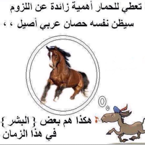 alalmae's tweet photo. @jamalrayyan https://t.co/rSPrAix4Yx