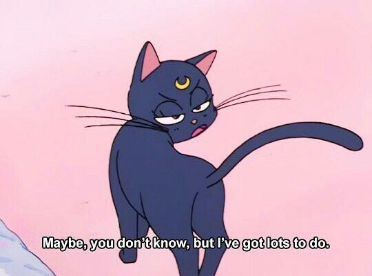 astr0quality's tweet photo. LET ME TELL YOU A STORY.... A STORY OF MY SENIOR YEAR WITH SAILOR MOON! 
.
.
.
.
.
THREAD https://t.co/5ij3Mp6xH7