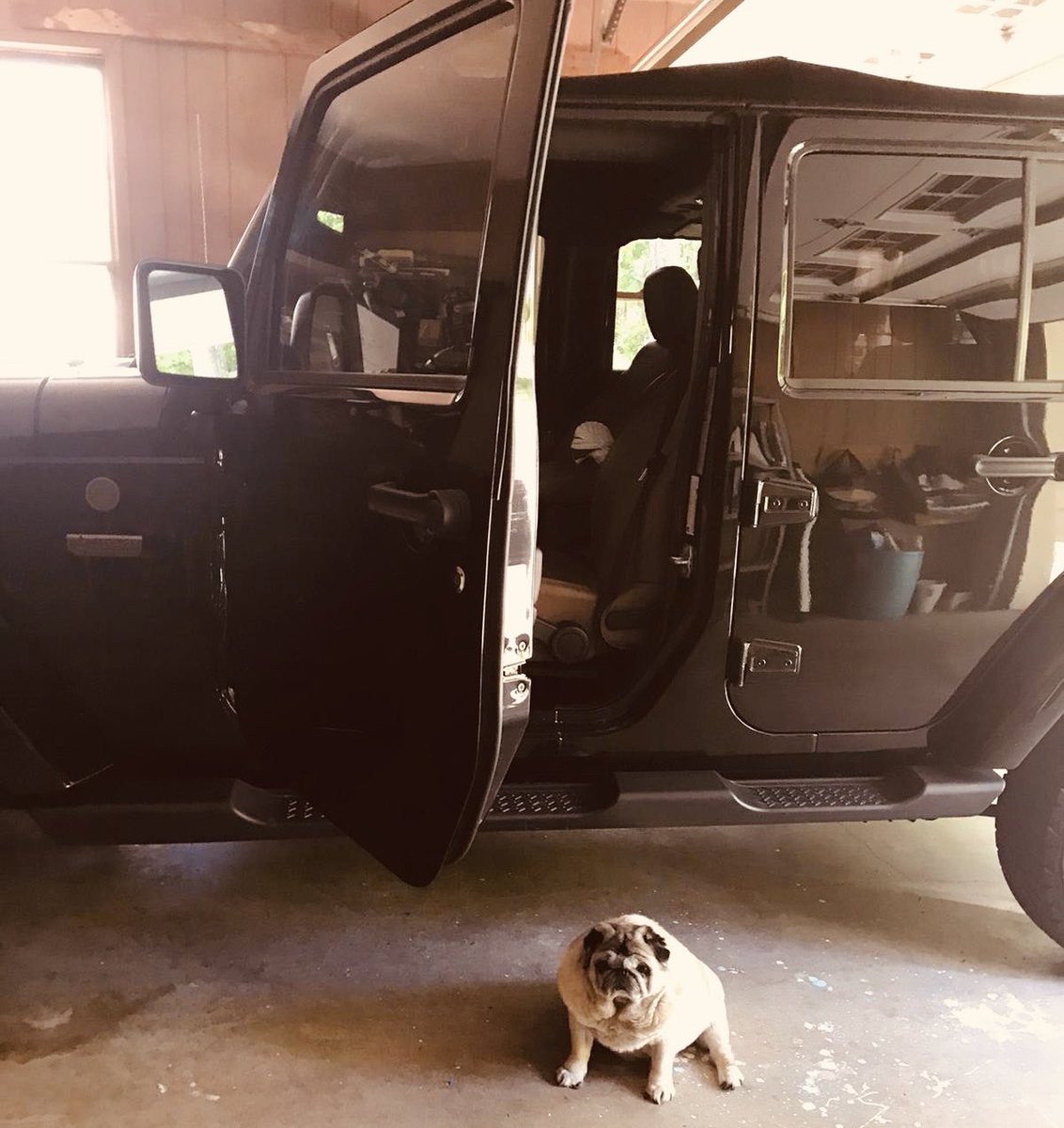 greykarma1's tweet photo. @BSYBJP @CMofKarnataka @PCMohanMP @DrSudhakarMLA 

more than 2 months away &amp; nothing seems normal anymore.. even Cookie  wondering what’s happened to her driving partner?? #NRIsStranded 
#FlightsfromBengaluruToUS #departFromBengaluru 
#FlightsFromSouthtoUS https://t.co/zZVM8wMFkN