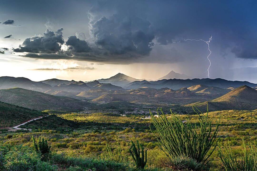 WhenInYourState's tweet photo. 7 Hauntingly Beautiful Photos of the Arizona Monsoon You Can't Help But Look At

#VisitArizona #Arizona #ExploreArizona

https://t.co/57e6hBC1lO https://t.co/NBRWILcVcj