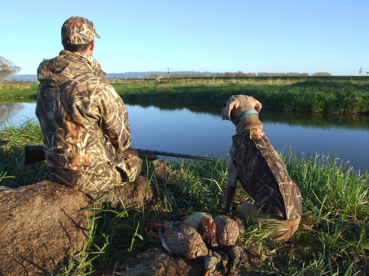 EasternFishGame's tweet photo. Yipeee! The 2020 Game Bird season will start on Saturday, May 23rd. See here for further details; https://t.co/hoZg3ypHGI https://t.co/dcq1AxKG28