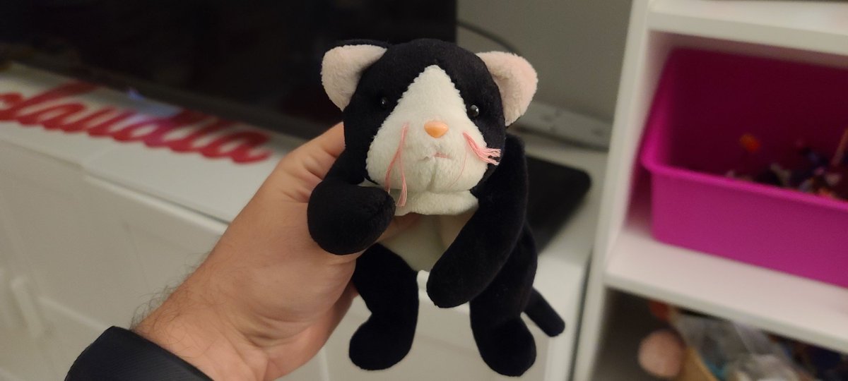 My wife just casually had one of the rarest Beanie Babies in storage. Generation 1 Zip the Cat. This would have bought me a couple hundred Pokemon card packs in 1998 when I used to sell Beanie Babies on eBay (I was in fifth grade). This is worth a whopping $20 now.
