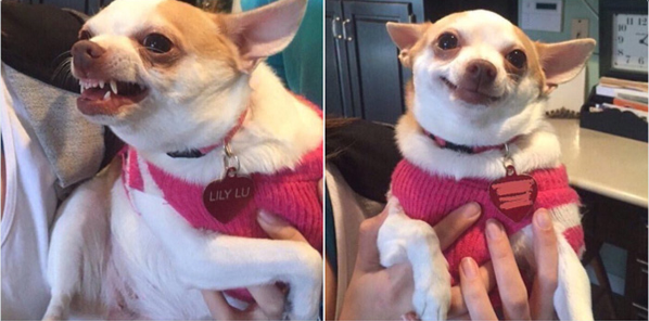 kaapimachine's tweet photo. Before Coffee vs After Coffee

What's your before and after coffee reaction?

#ThinkCoffeeThinkKaapi #Cuppucino #KaapiMachines #CoffeeTime #CoffeeLove #CoffeeDaily #CoffeeLife #Coffee_Insta #CoffeeCommunity #Coffeefacts #coffeetrivia #italian https://t.co/VelvlhuncY