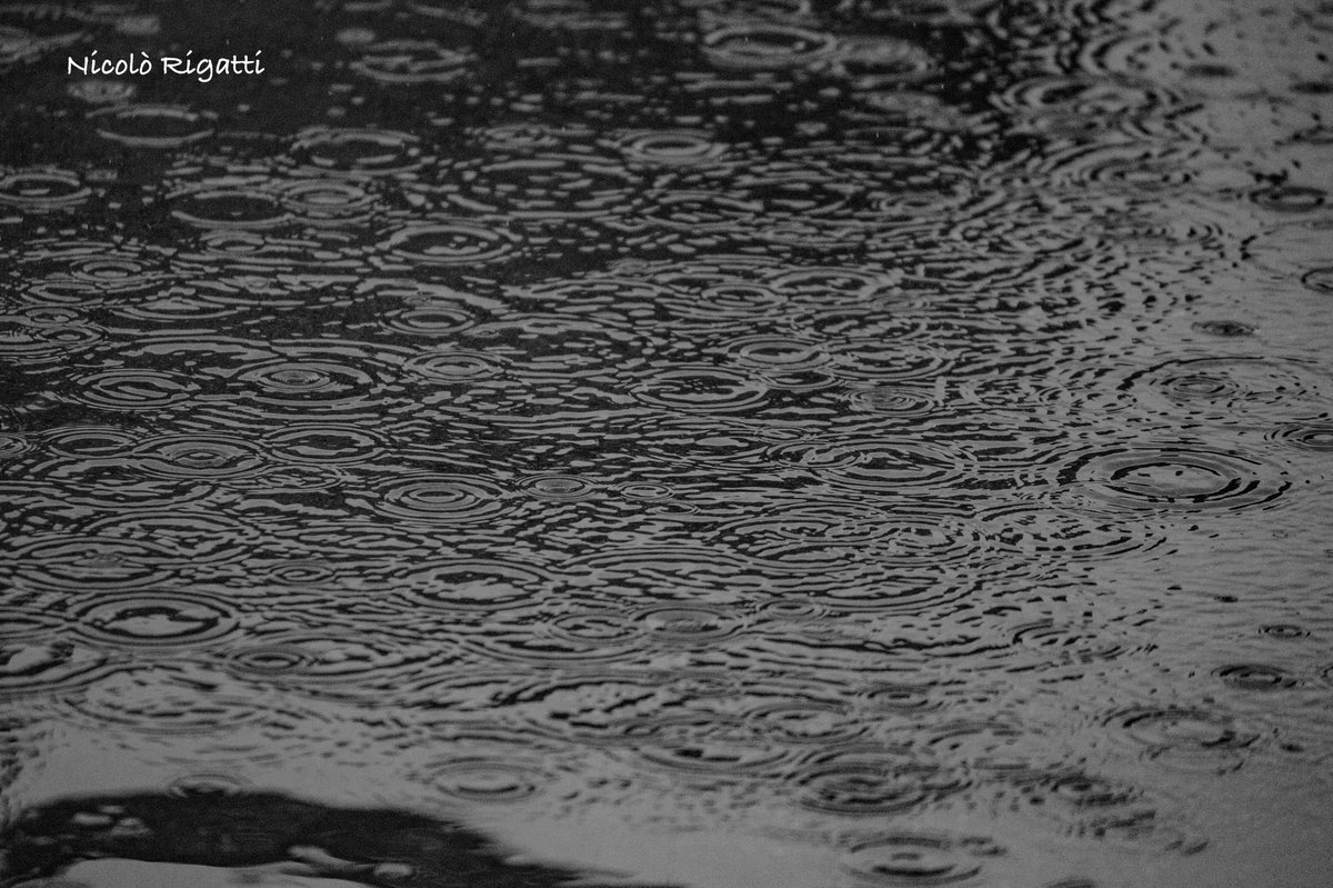 NiCkRiga89's tweet photo. #rain #rainyday #raining #photography #photo #photooftheday #drops #blackandwhite #suono #pioggia #top #wow #liketime #circle #nature #relax #out #sound #perfect https://t.co/CqpdweR30S