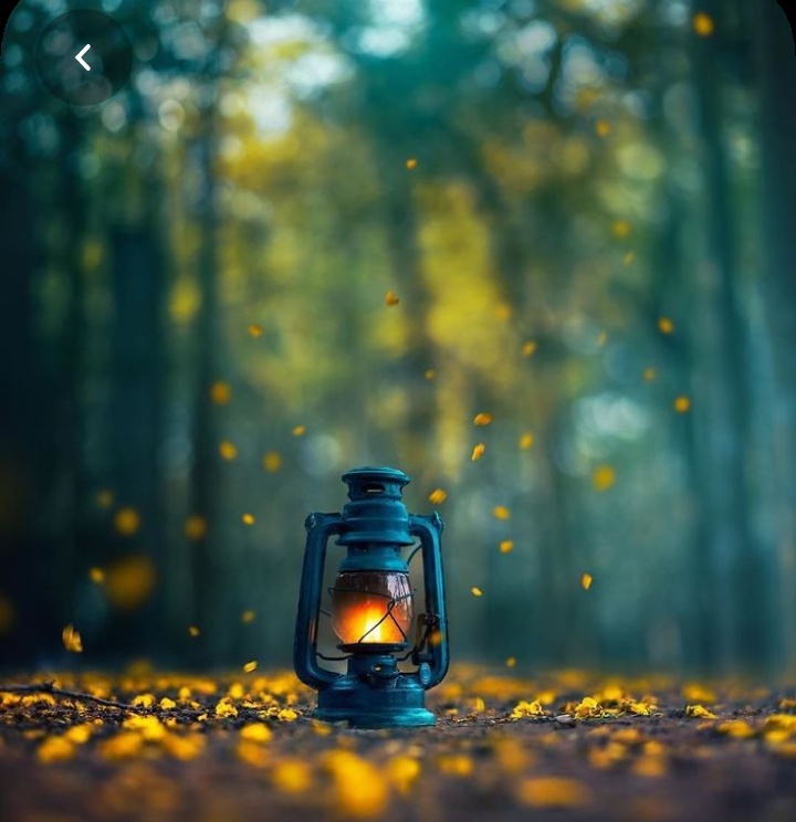 AskSonali's tweet photo. Life is very uncertain. But there is one certainty that it will keep on going until you give up. 
#mondaythoughts #MondayMotivaton https://t.co/1s68CQGPtS