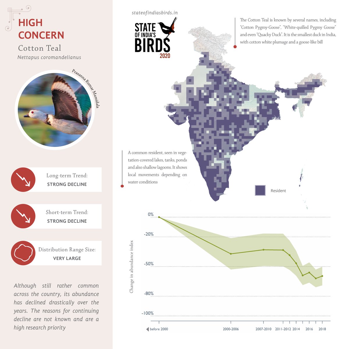 ncfindia's tweet photo. 15,000+ birdwatchers helped assess the status of birds that regularly occur in the country for the State of India's Birds report.

We're going to share a series of infosheets in the coming weeks. Here's the first one on the Cotton Teal, a bird that's showing drastic declines: https://t.co/uezlcroGDH