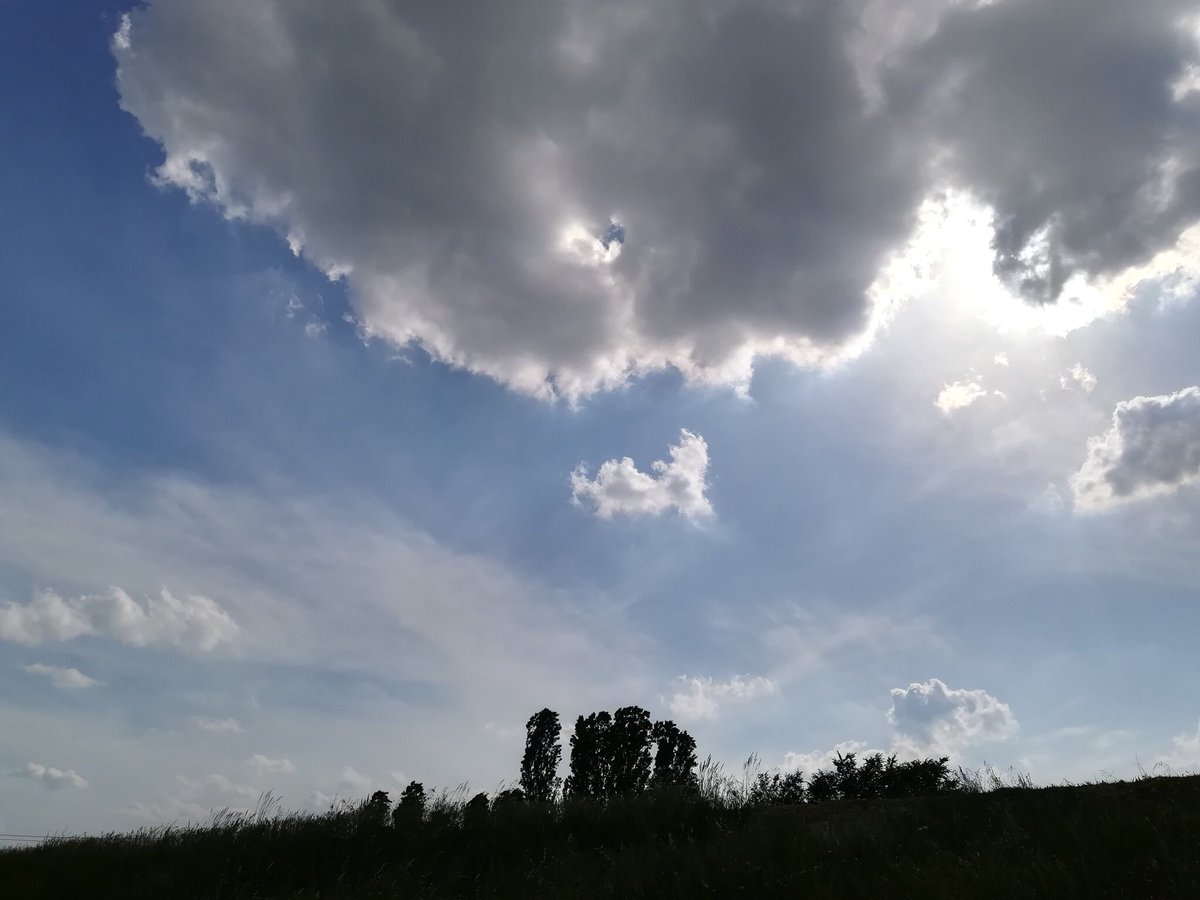rinaldogiorgio's tweet photo. Let yourself be caressed by the wind
entrust to him the voice of lost possibilities
of missed and never lived hugs
Don't get lost in what wasn't and couldn't be
Regrets are the scars of a past with no return
Live what you are now, the flower of a spring
#Likewind https://t.co/9IIsU8O3Ds