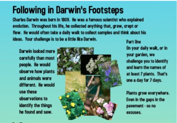 AJS_5B's tweet photo. Get creative 5B with our new whole school project for the week. I can’t wait to see what you guys come up with 🤯 https://t.co/R15ZhgN7dk