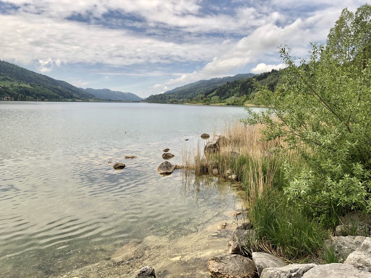 HDomhardt's tweet photo. Ein paar Eindrücke von der Wanderung um den Großen Alpsee ⁦@Immenstadt_⁩ ⁦@allgaeuinfo⁩ https://t.co/ssvmkVDkc2