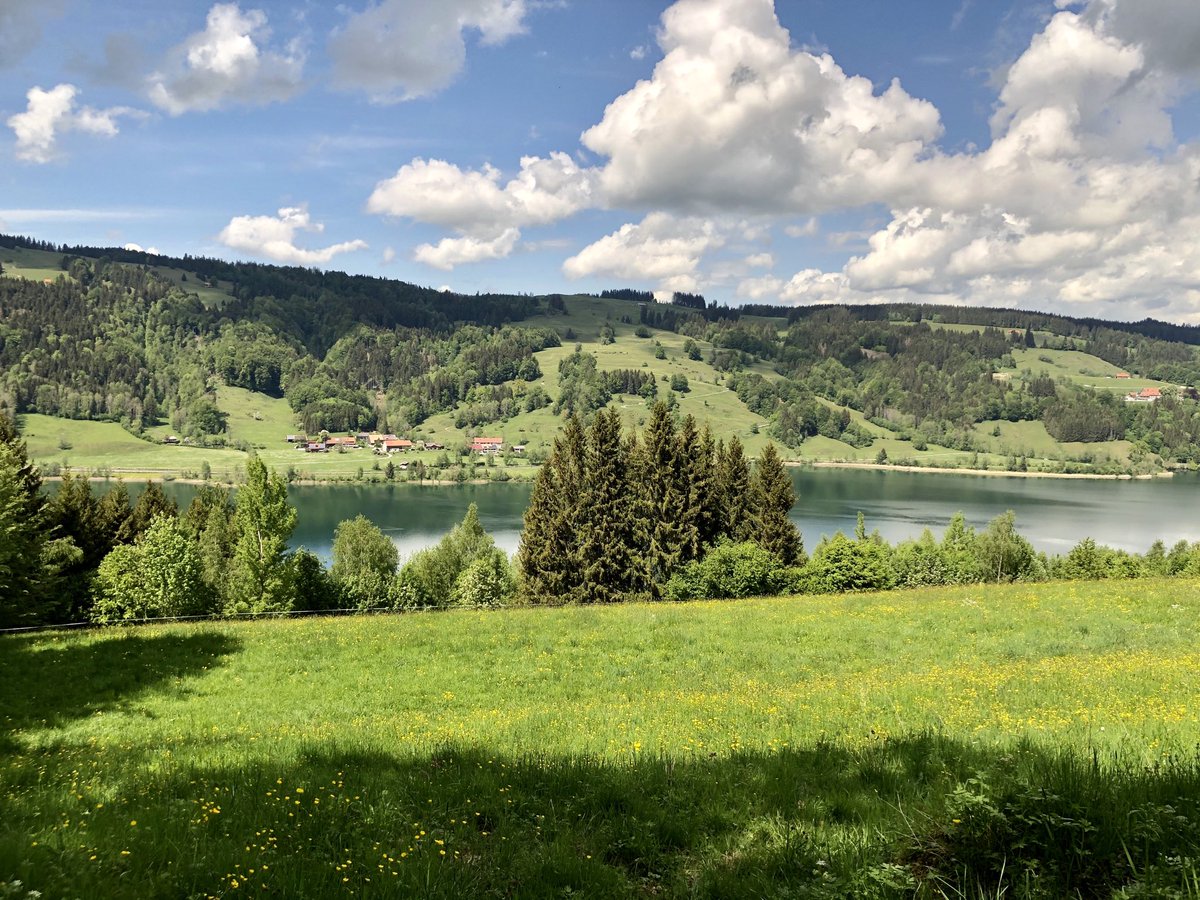 HDomhardt's tweet photo. Ein paar Eindrücke von der Wanderung um den Großen Alpsee ⁦@Immenstadt_⁩ ⁦@allgaeuinfo⁩ https://t.co/ssvmkVDkc2