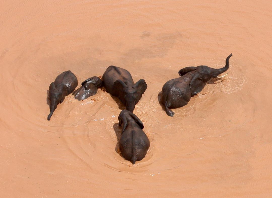 Kenya Pics tweet media