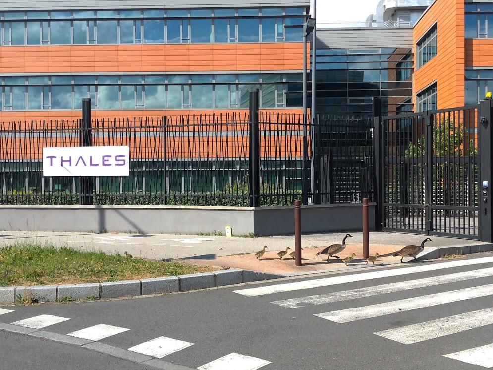 Quel serait le meilleur conseil que vous donneriez à un #CommercialB2B qui déprime avant de reprendre le match de la vente après le déconfinement ? 

#MaQuestionEstEllePertinente ?
