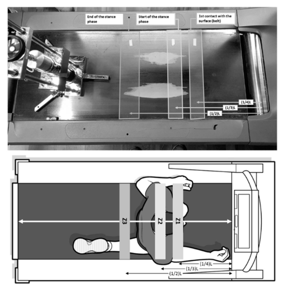 BasVanHooren's tweet photo. New paper were we define a test method to assess the mechanical properties of #treadmills. Using this method we show 1) differences between zones (see image) and 2) we show commercial treadmills do not match the mechanical properties of tracks or concrete

https://t.co/3xrDjjzlD5 https://t.co/y5R4vknfq4