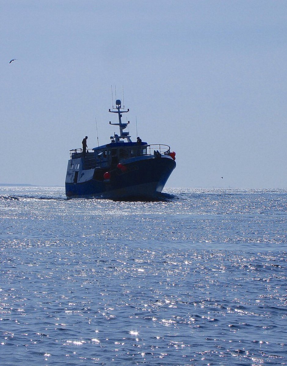 pointsdevue1's tweet photo. Bonne reprise à tous, soutien à la #pêche française 👍 https://t.co/FTqM9FDNya