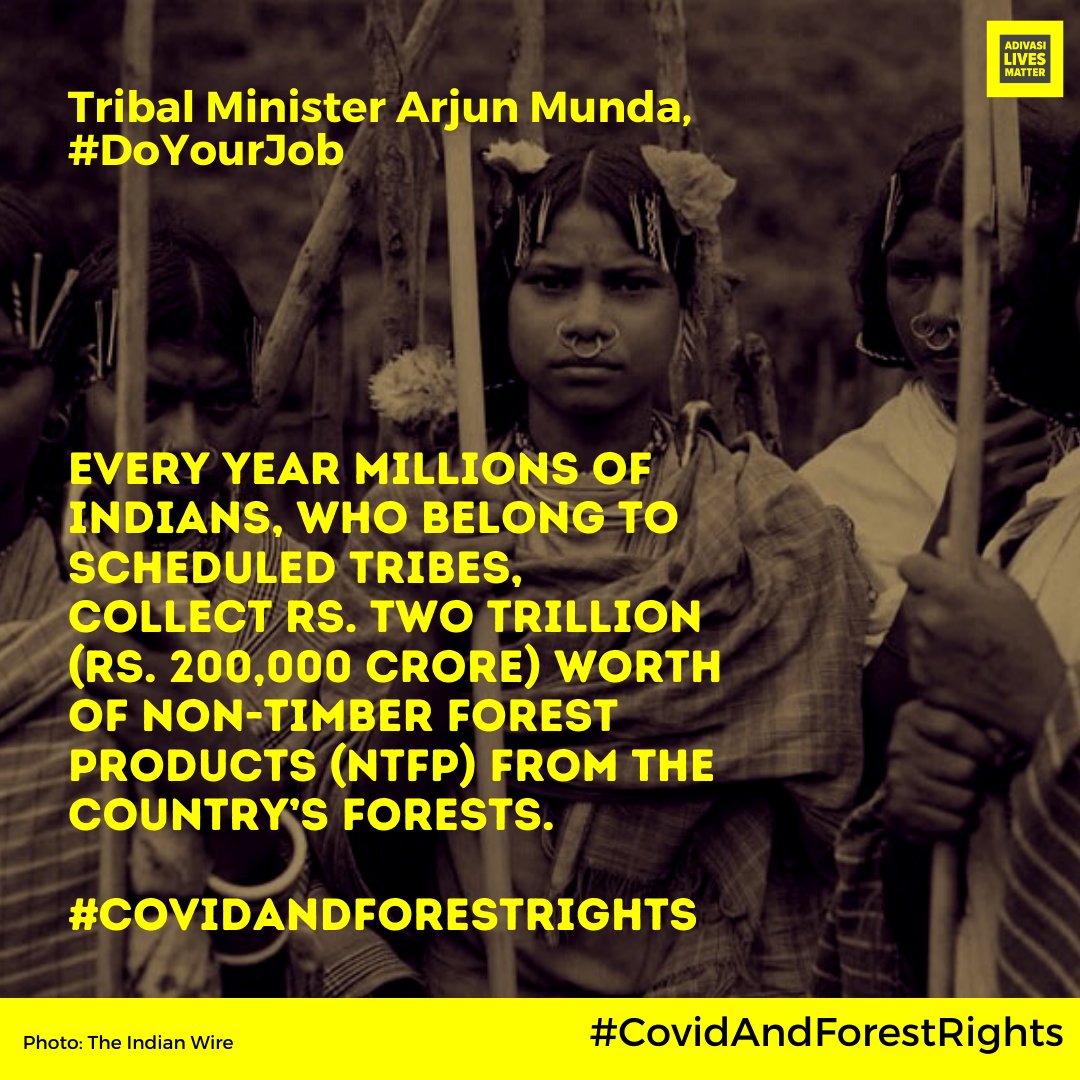 You need to read this thread very carefully! Let's see how the beloved (sarcasm!)  @moefcc and  @PrakashJavdekar are making life even more difficult for  #Adivasi and forest-dwelling communities during  #COVID19Lockdown  #CovidAndForestRights  https://india.mongabay.com/2020/02/india-urgently-needs-to-streamline-multi-billion-rupees-worth-ntfp-market/