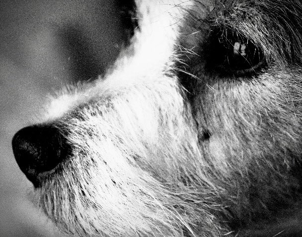 Congratulations to Salisbury’s Artist of the Week, Sasha! Wonderful Still Life Photography! <a href="/SalComp/">Salisbury Composite</a> <a href="/eips/">Elk Island Public Schools</a> <a href="/ShPk_News/">Sherwood Park News</a>