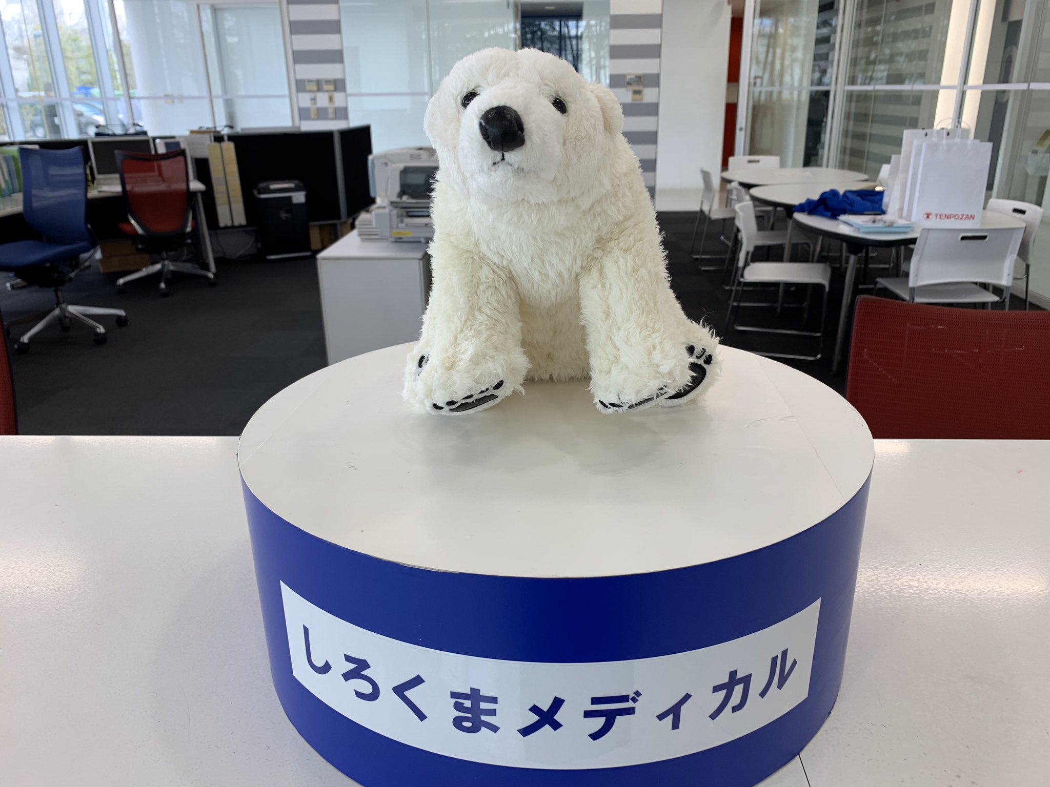 公式 火曜ドラマ 私の家政夫ナギサさん 毎週火曜よる10時 今日は わたナギ のドラマの中に登場するキャラクターを紹介します トップバッターは メイの取引先薬剤卸業社 しろくまメディカル のマスコット 白いむっくりしたフォルムで愛嬌