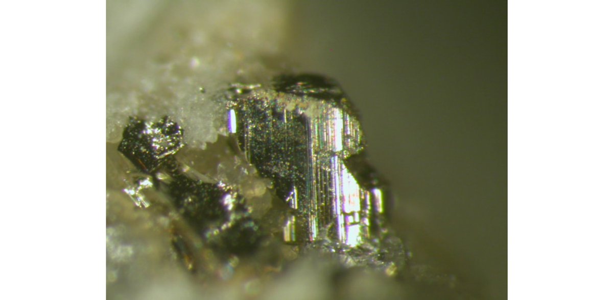  #tellurium notably hangs out with  #gold. The two elements have a strong affinity for each other and tellurium can be used to trace gold deposits. Pictured: the gold telluride calaverite, photo credit Brent Thorne. 3/5