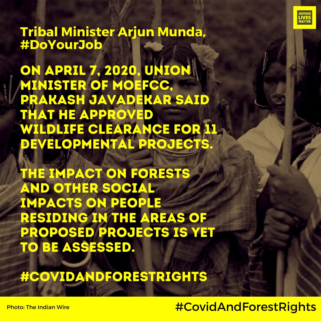The highly efficient  @PrakashJavdekar is leaving no stone unturned (quite literally sometimes) to take away forest from the  #Adivasi and forest-dwelling communities during  #COVID19Lockdown  @TribalAffairsIn objects little to  @moefcc as always. #CovidandForestrights
