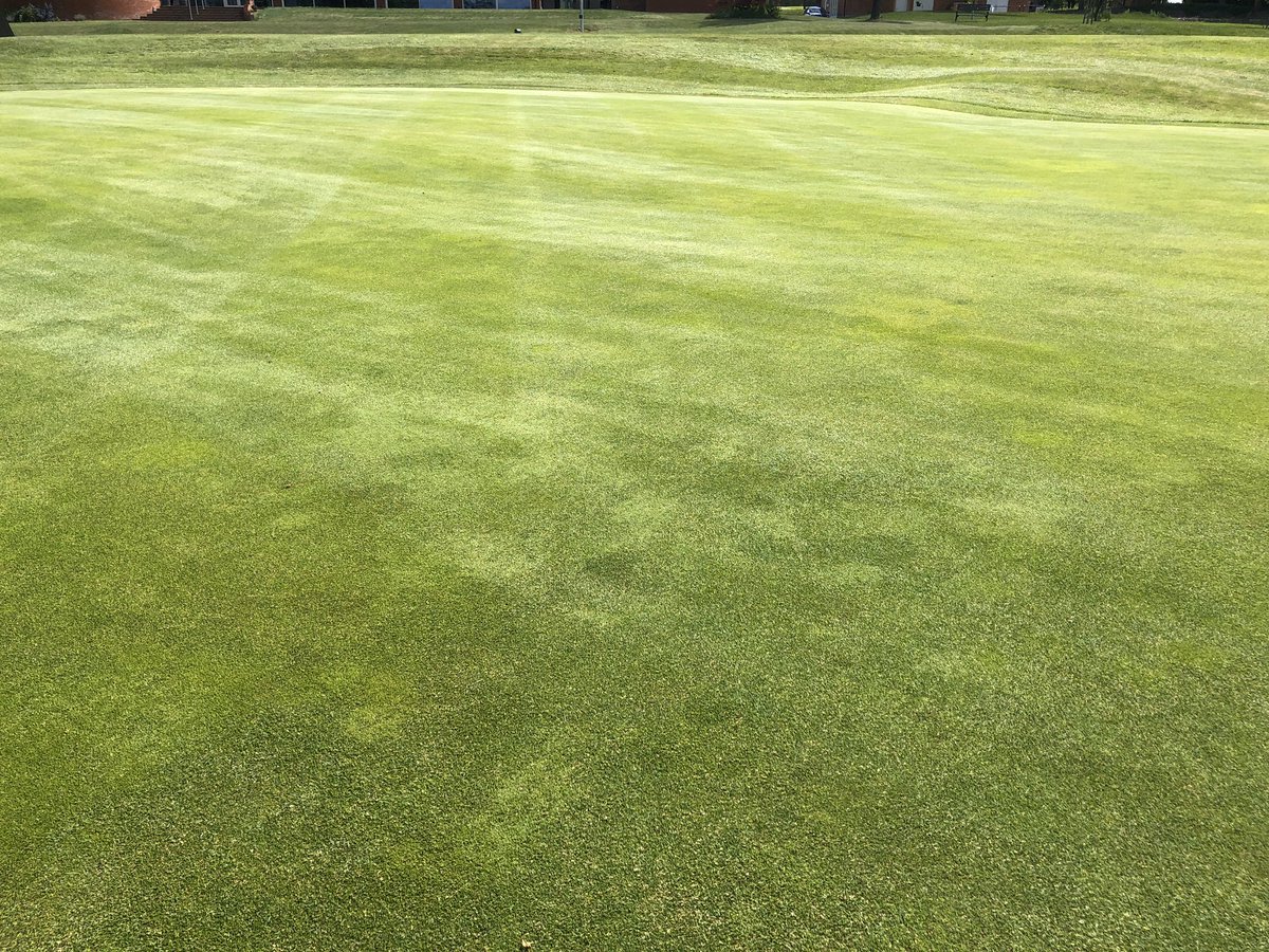 Brickendon Greenkeepers tweet media