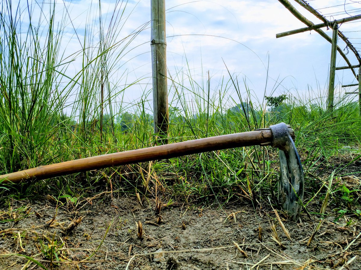 জীৱিকাৰ স্বৰূপ পাভৈ জৈৱিক !
