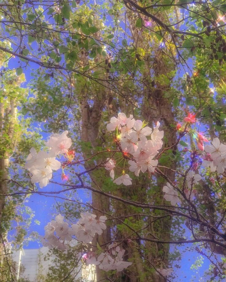 * ( 🦋# 000000 )

      𝒥ippok made in 𝟿𝟼 ’𝓼 𓈒 ˙ ♡̷
˙ 𓈒  ✿  ˓ แลกฟอล ตามทัก ˒ 💲

       、ยพท ลฟตท : • 🐩 ∗