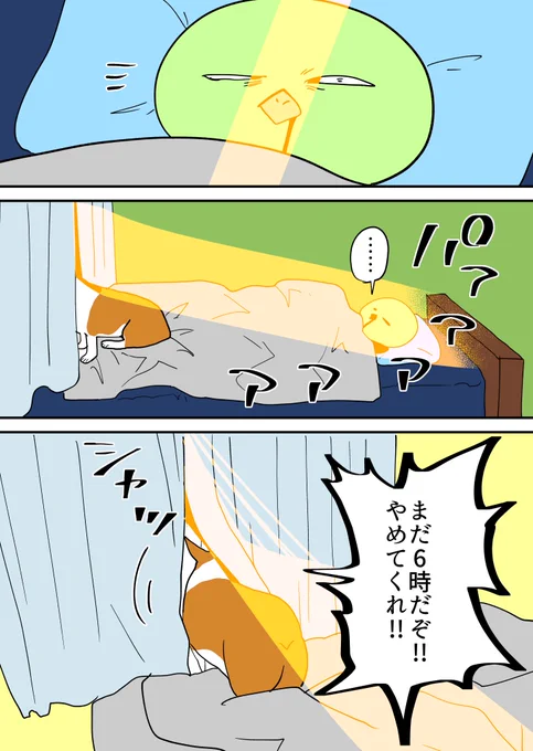 コーギーの朝は早い 