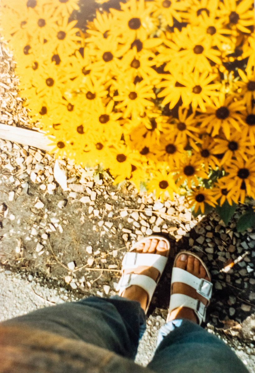 Reminiscing of brighter days ✨ Falmouth on film 📸 buff.ly/2QVBEcn

#Falmouth #filmphotography #travelblogger #ukbloggers <a href="/UKBloggers1/">UK Bloggers</a> <a href="/BloggersTribe/">BloggersTribe</a>