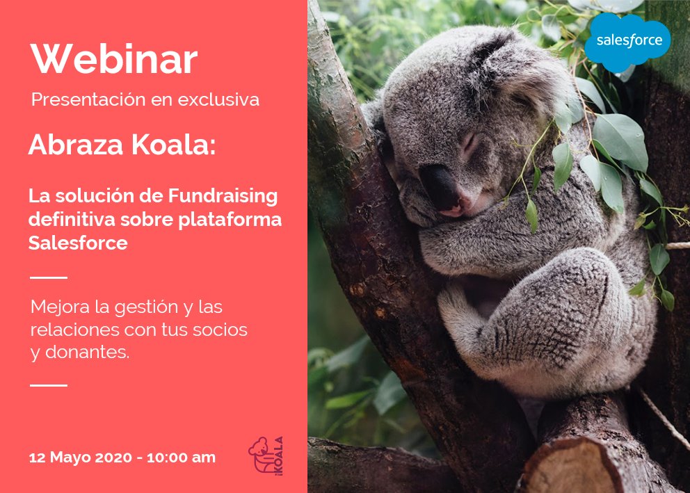 S4GConsulting's tweet photo. #WebinarGratuito: Abraza Koala: La solución de Fundraising definitiva.
Registro: https://t.co/vV7Fqn1p7l
Mañana lanzamiento en exclusiva de nuestro nuevo producto para ONG: #Koala
#S4GWebinars #S4GKnowledge #Fundraising #SalesforceNPSP #ProductoONG #Salesforce #salesforceorg https://t.co/Ul9mompQLF