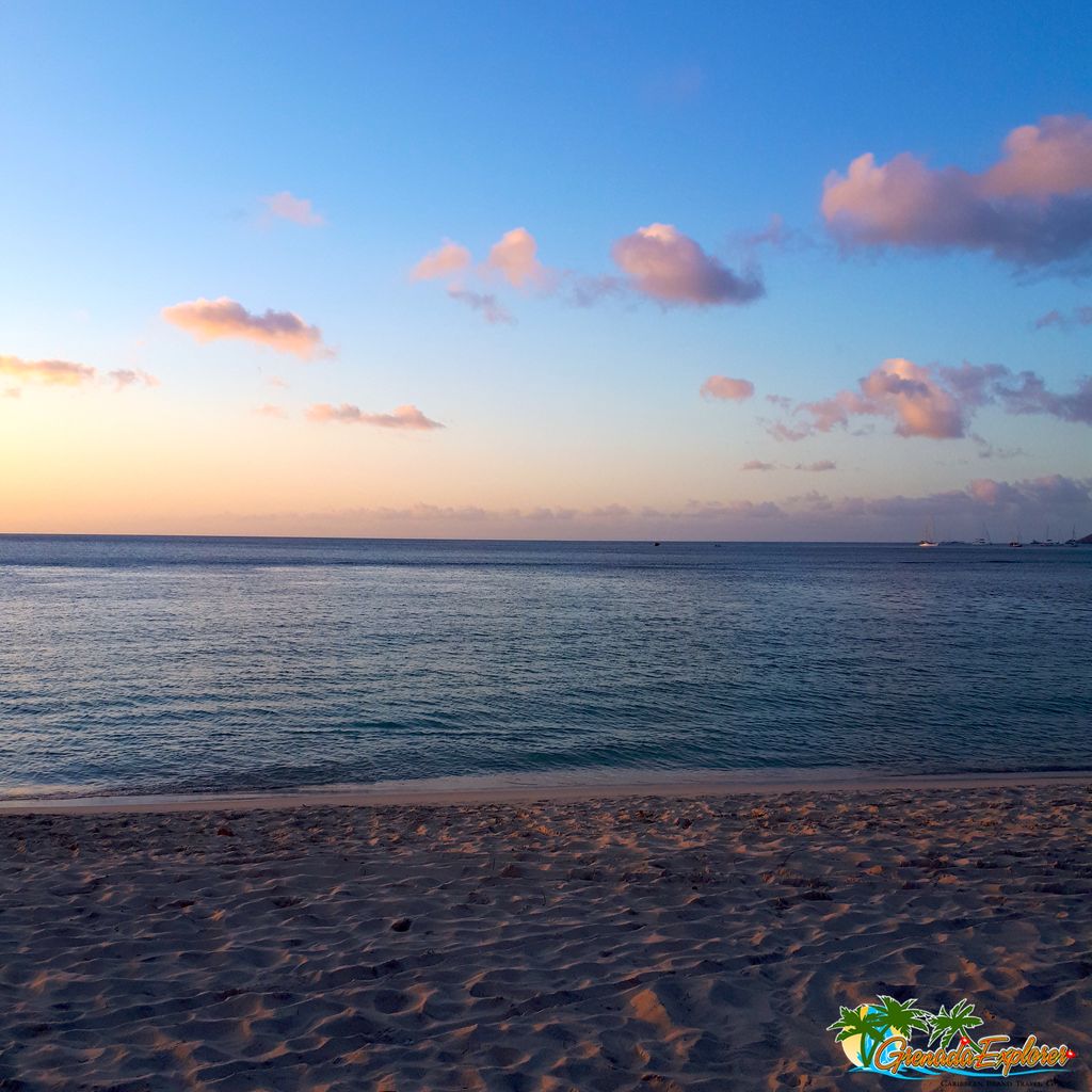 grenadaexplorer's tweet image. The calm Caribbean sea lapping at the shore. The essence of tranquility ☀️ #Grenada #PureGrenada #DreamTodayTravelTomorrow #TravelIsAStateOfMind #TravelSomeDay #WeBelieveInTravel #GrenadaDreaming #CaribbeanDreaming