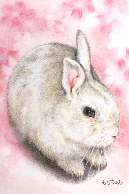 うさぎ好きのtwitterイラスト検索結果 古い順