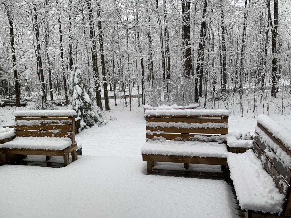 I think Mother Nature caught the corona virus!  #itsmayright #spring2020