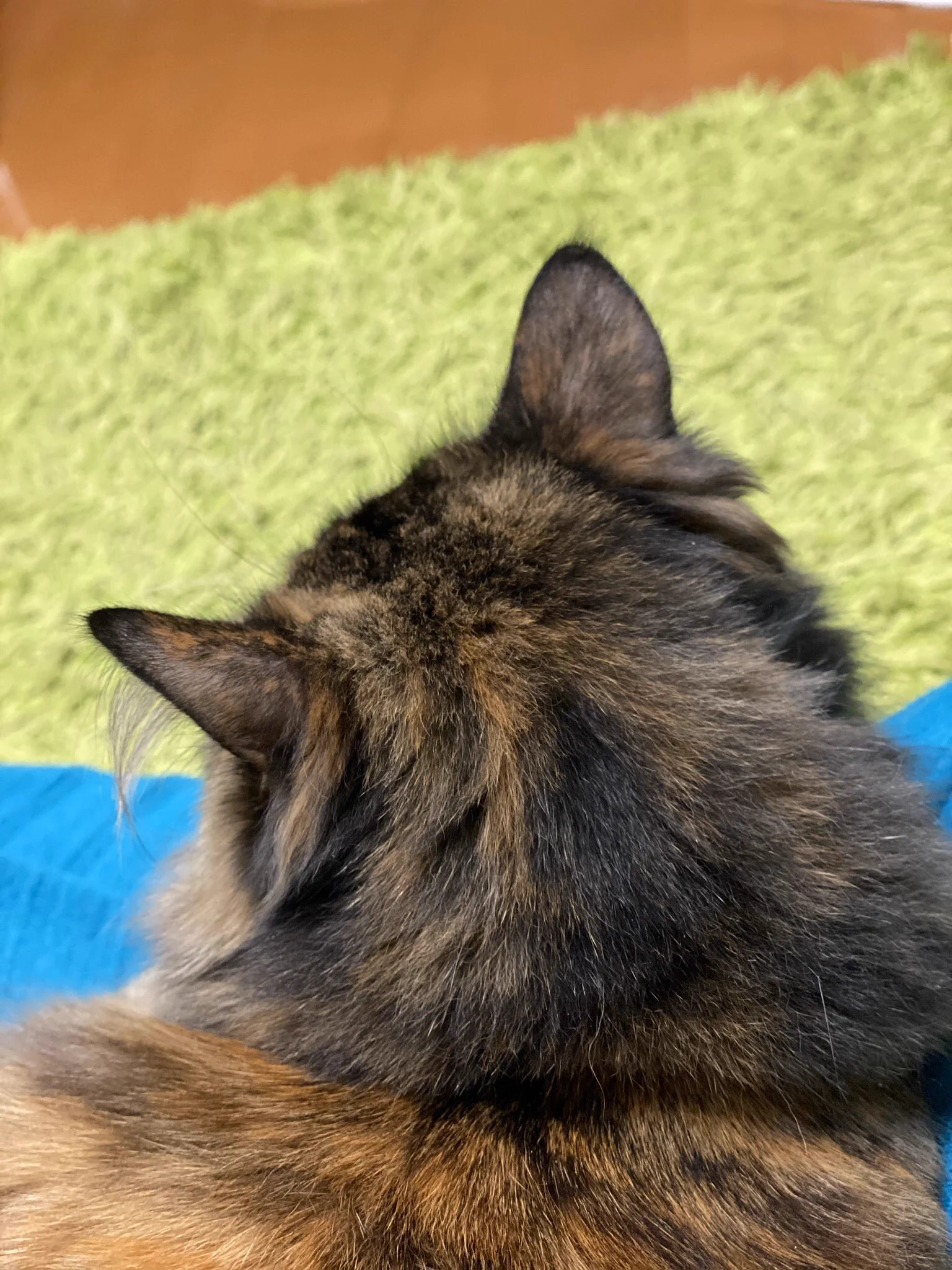 @jirosan77 わかる😂 