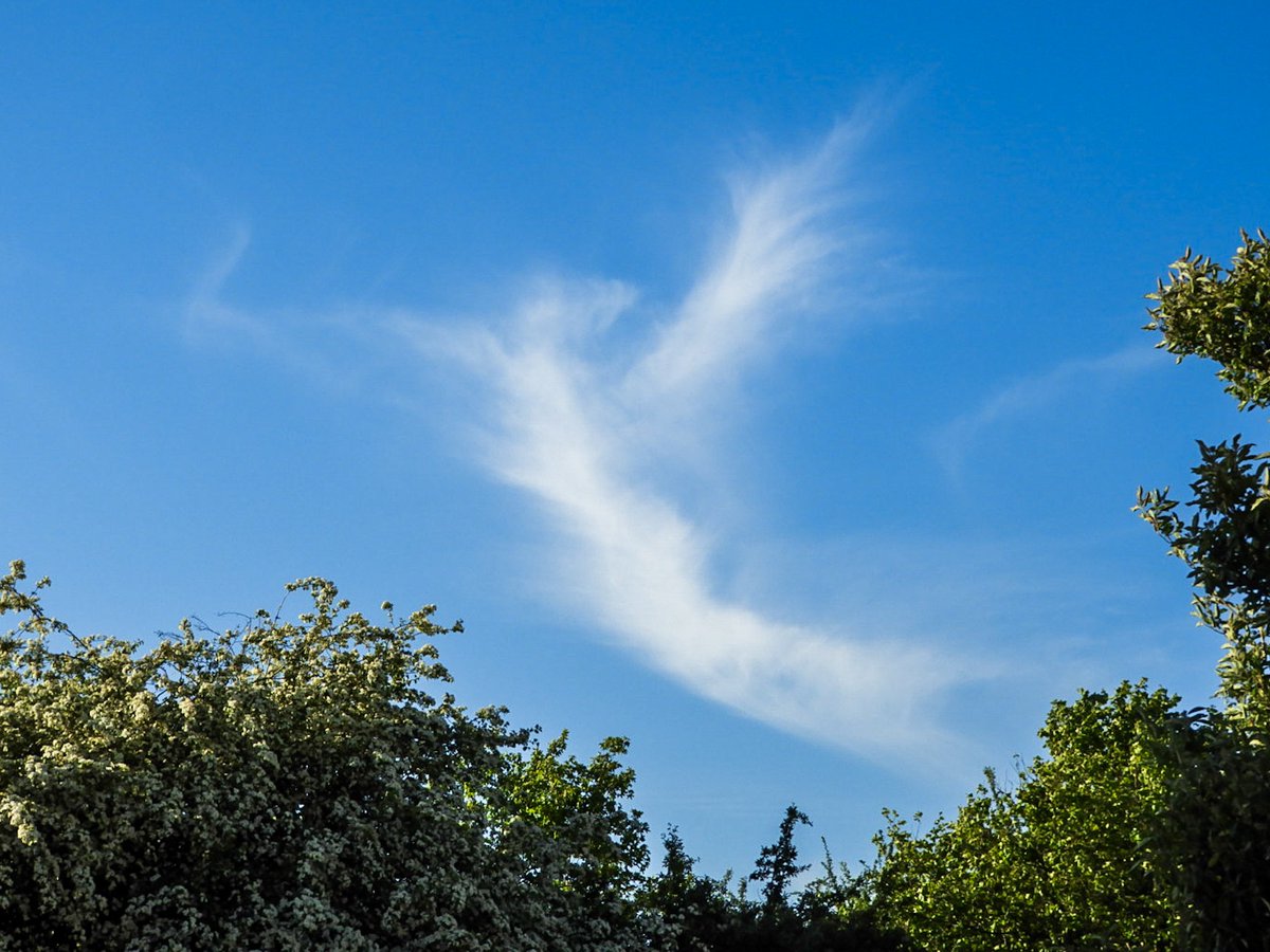 CarlaSears's tweet photo. #MondayMorning #angelcloud #graveley #Hertfordshire 11/5 #loveukweather #ThePhotoHour #earthcapture  @WeatherHerts @hertslife @CloudAppSoc #nature @dbirch214 @5_News #earthandclouds  #Weather #landscapephotography https://t.co/YZvNap2K9l