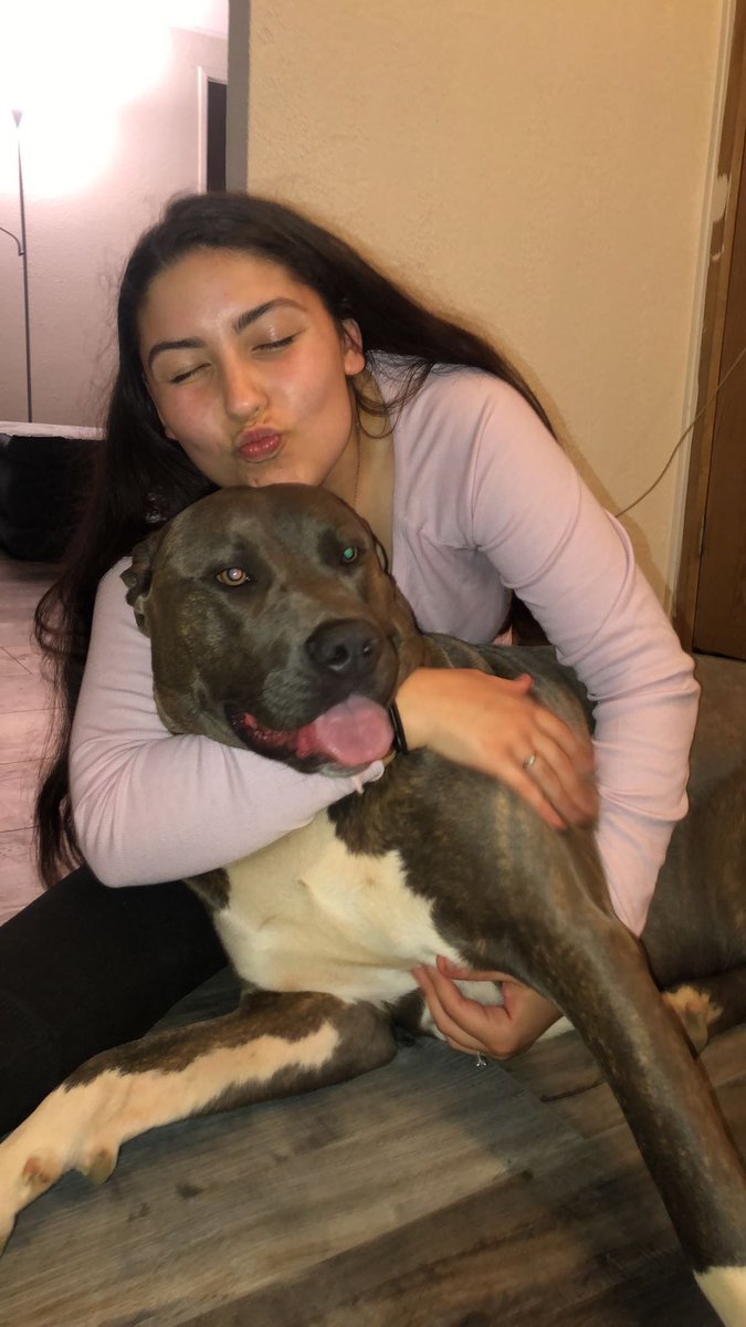 haley_loovee's tweet photo. Happy Mother’s Day to all my fellow dog moms💜 https://t.co/Grs07frOvm