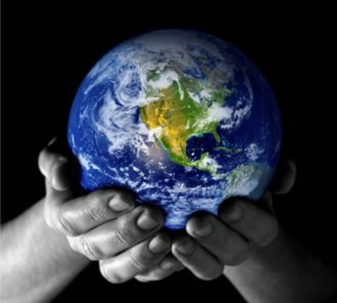 Reps Theatre tweet media