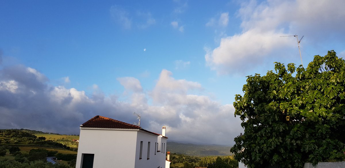 Francisco Sanchez  tweet media