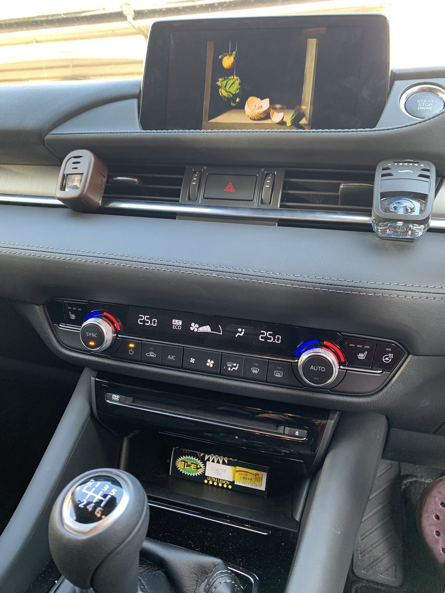 Diablo Sv Stay Home中なのでtvキット装着 走行中テレビはあまり見ないけどこれでカーナビ操作ができるぅ Mazda6 マツダコネクト Tvkit