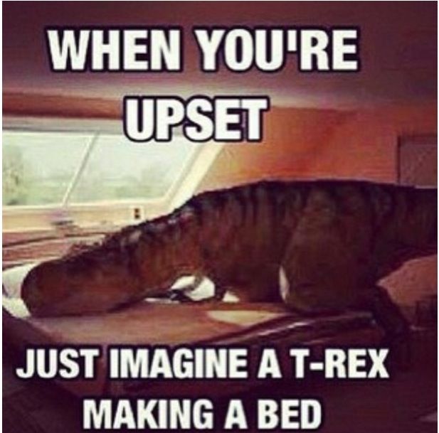 angemarshdark's tweet photo. funny https://t.co/xSPDdEOvBe