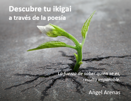 Nos vemos en un rato: estación <a href="/EcoherenciaSCA/">Ecoherencia S.C.A.</a> ECoHerencia, tripulación <a href="/lanoria_mlg/">La Noria</a>  Agencia de viajes <a href="/poetopiaORG/">Poetopía</a> Destino, vostr@s mism@s.
#ikigai #FelizLunes #FelizSemana #emprendimiento