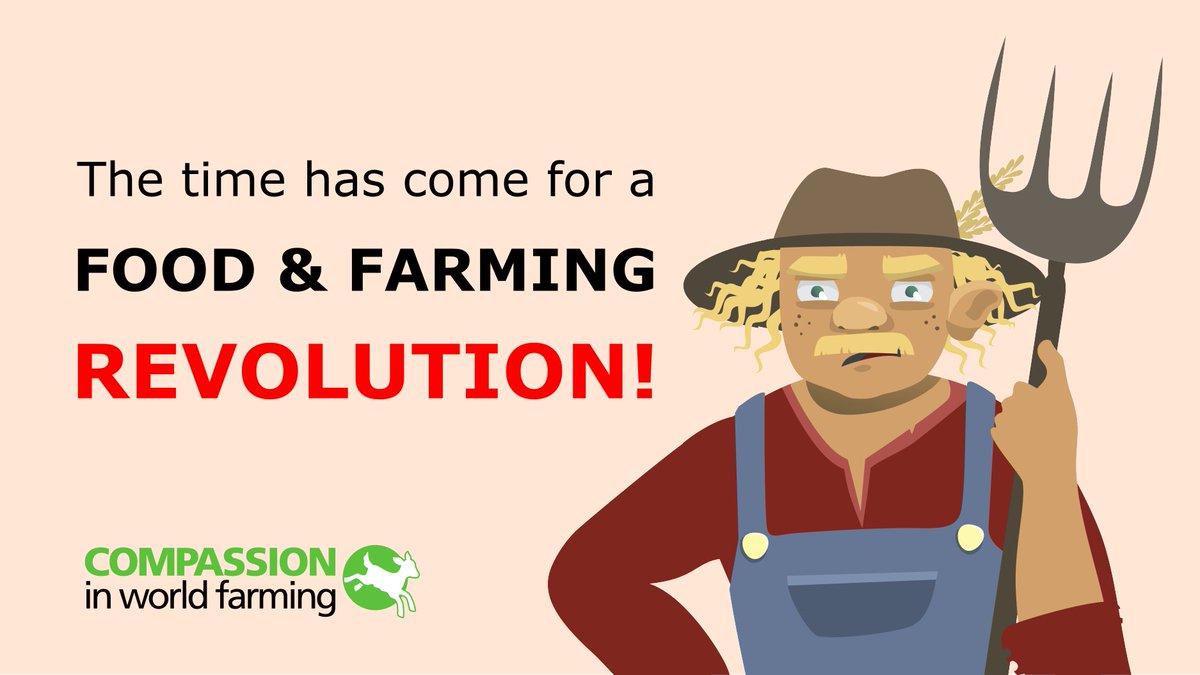 CIWF_EU's tweet image. 👩‍🌾 We call on EU leaders to urgently steer the EU towards sustainable and resilient food systems through its new food strategy.

Now more than ever, the EU must end factory farming. As a first step, let’s ban cages for all farm animals! 

#EndTheCageAge #EUfarmToFork #Covid19