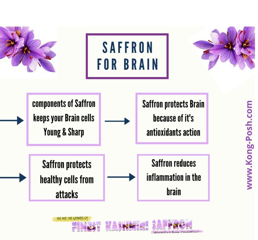 TheIrtazaBilal's tweet photo. Saffron for BRAIN
#Saffronbenefits #saffronmalaysia #saffronherbtea #SaffronTwitter #kashmirisaffron #saffronasli #saffronseller
#saffronforhealth #wheretobuykashmirisaffron #howtousekashmirisaffron #whybuykashmirisaffron
#saffrongrowers #saffrontoner #saffronmilk #saffron https://t.co/HiNGTkxBvO