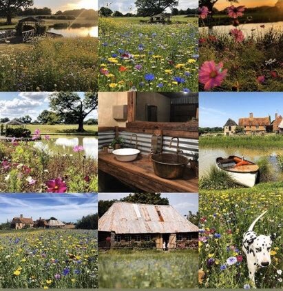 <a href="/TheHouseMeadow/">The House Meadow</a> - a beautiful family run on-farm wedding venue in Biddenden. Even if you’re not looking to get married, follow for their beautiful barn, lake &amp; wild flower meadow... and take a look at the toilets!

#KentAtoZ