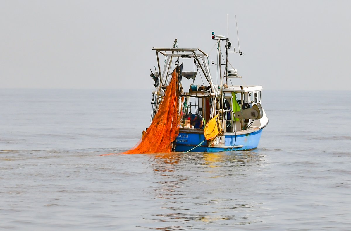 KentEssexIFCA's tweet photo. Our patrol boat spotted trawlers, netters, and potters, working off the coast of Essex catching fresh fish for local markets #fishlocalgb #fresh #fish #Essex #FisheryPatrol https://t.co/iU9sGwC5S2