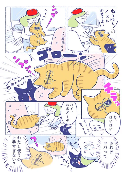 「ついつい甘やかしてしまうんです...」甘え上手(?)なコバとむぅちゃんにはどこまでも応えてしまいます(;'∀`)(吉濱あさこさんの「イチャ猫」)更新!2枚目はコチラ⇒イチャ猫 