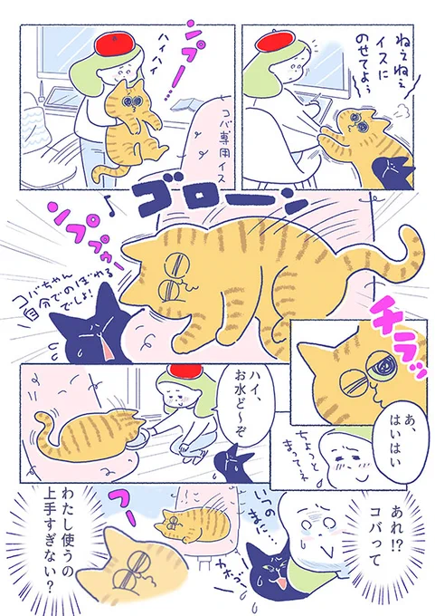 「ついつい甘やかしてしまうんです...」
甘え上手(?)なコバとむぅちゃんには
どこまでも応えてしまいます(;'∀`)

(吉濱あさこさんの「イチャ猫」)更新!2枚目はコチラ⇒https://t.co/3UcvfFFsRv

#イチャ猫 
