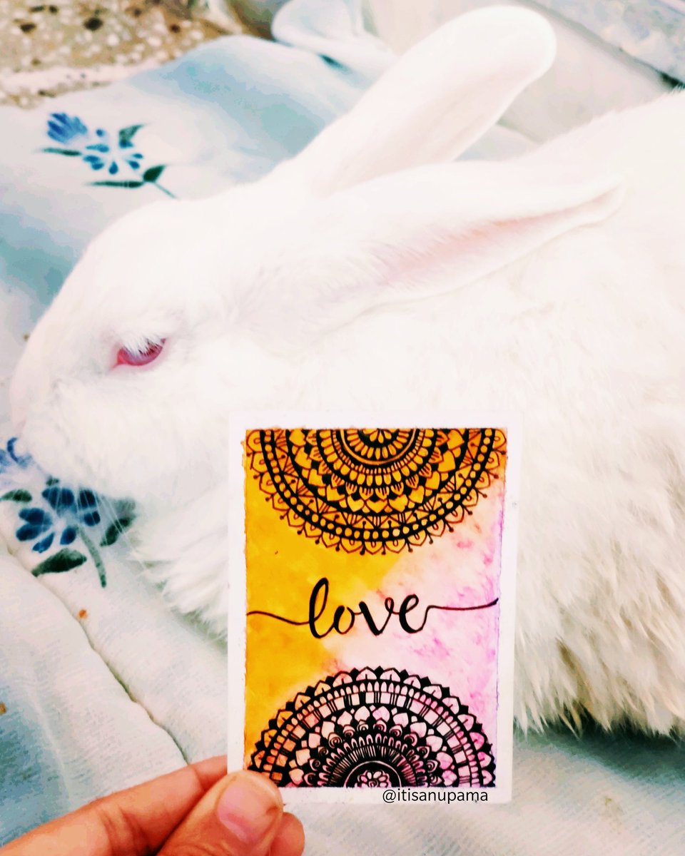 itisanupama's tweet photo. LOVE💜🐰
.
.
#love #Calligraphy #mandala #artists #ArtistOnTwitter #art #artwork #artsy #miniatures #miniaturepainting #lockdown #Quarantine #lockdown #lockdownindia #QuarantineLife #QuarantineAndChill #quarantineart  #bunny #pets #petlovers #animals #animallovers #artistsupport https://t.co/ARmfr0RhMO
