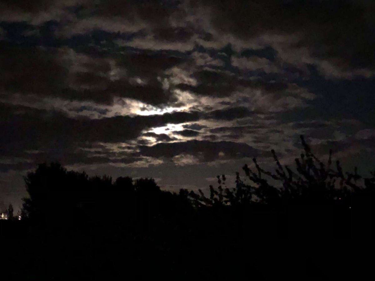 kcpland's tweet photo. Pics of the moon the other night 🌚🤩 https://t.co/4dokYB5hA7