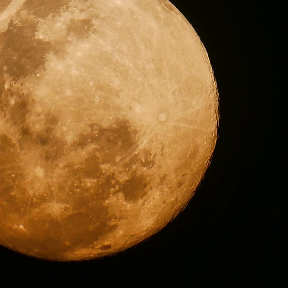 geoffrey_dlh's tweet photo. FullMoon in Puerto Princessa Palawan #FullMoon #supermoon2020 https://t.co/kYu3oKa0rW